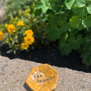 Bee-Friendly Honeycomb trinqet dish